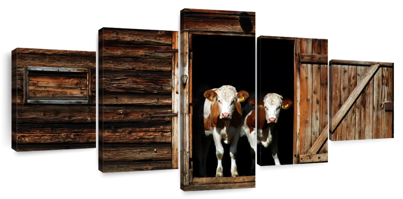 Pair Of Cows Wall Art