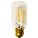 T45 Vintage Edison Light Bulbs by Lee Display