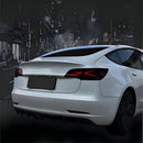 TESERY X-treme Tail Light for Model 3/Y