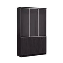 Talon · Office Glass Panel Display Cabinet