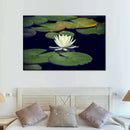 Lotus And Leaves Wall Art