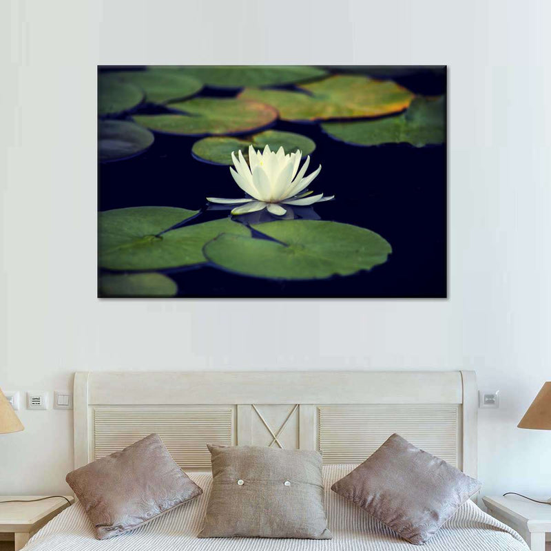 Lotus And Leaves Wall Art