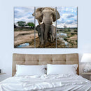 Safari Elephants Wall Art