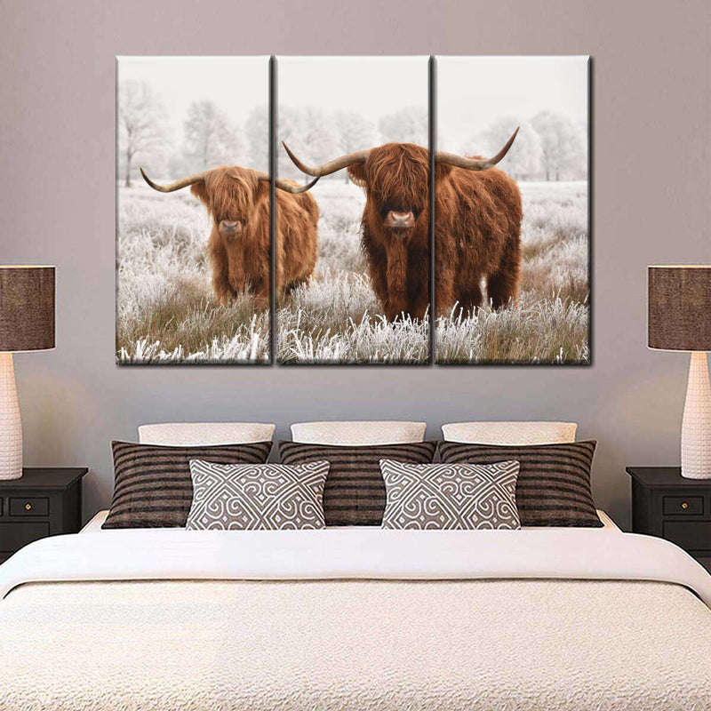 Hairy Scottish Highland Cows Wall Art