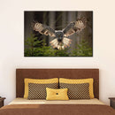 Flying Owl Wall Art