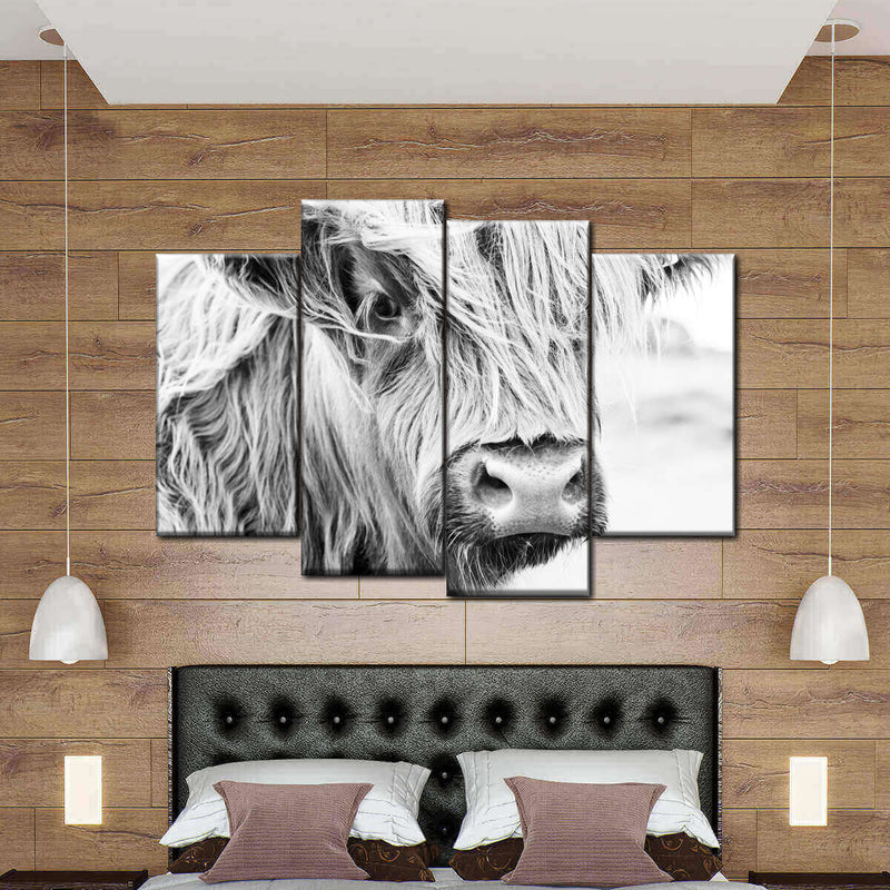 Long Haired Cow Wall Art