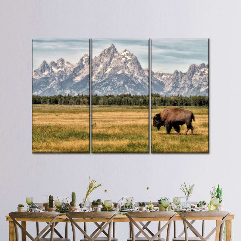 Bull Bison In Grand Teton Wall Art