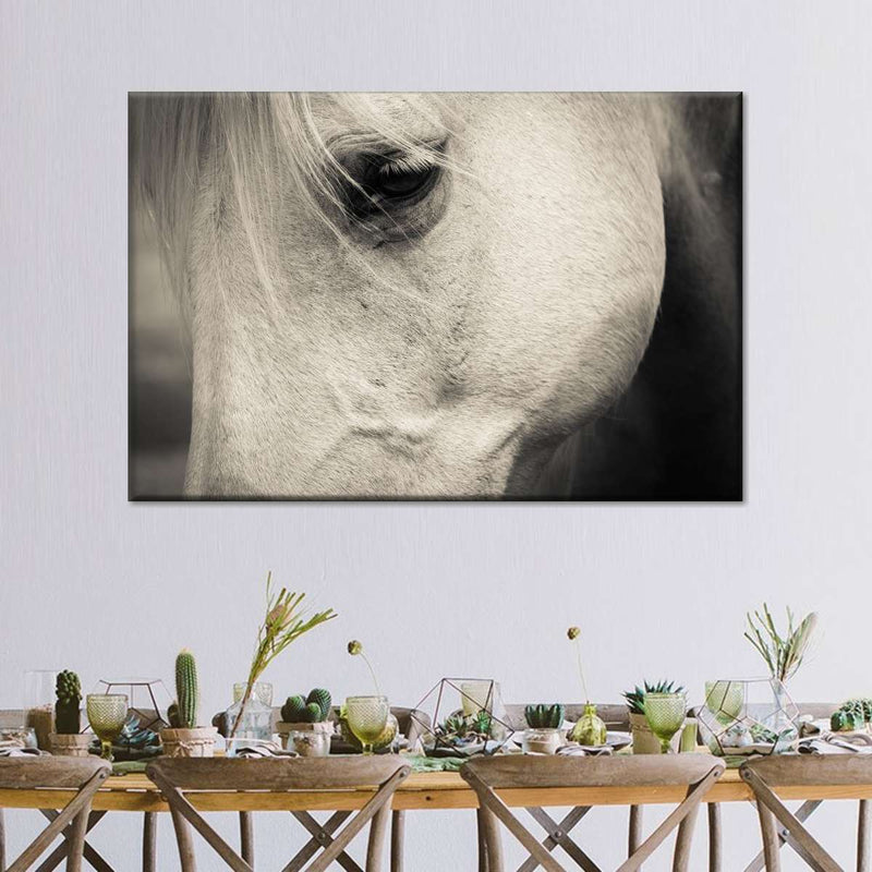 White Horse Eye Wall Art