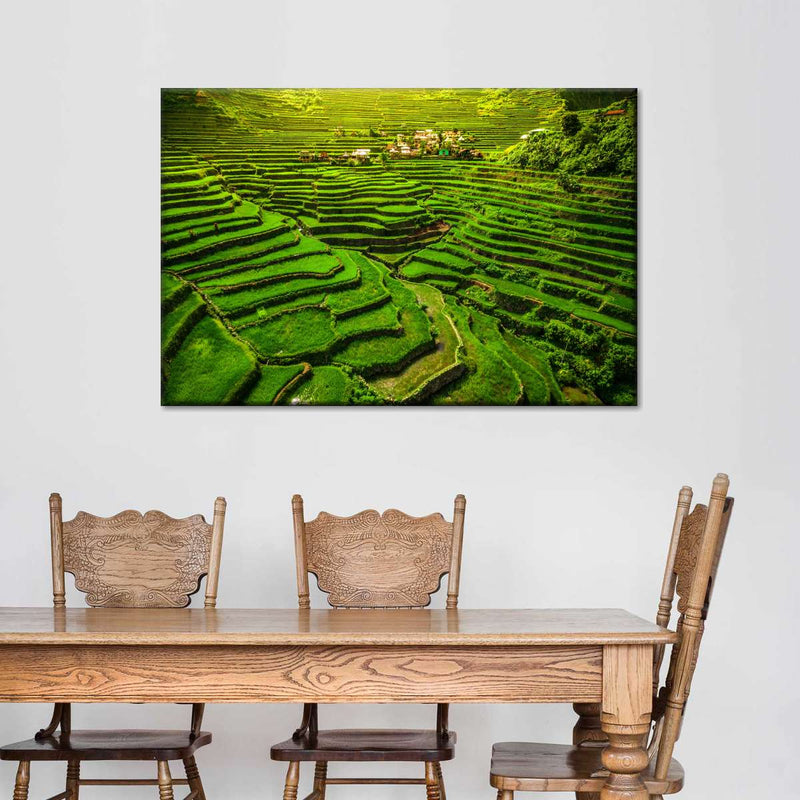 Historic Ifugao Rice Terraces Wall Art