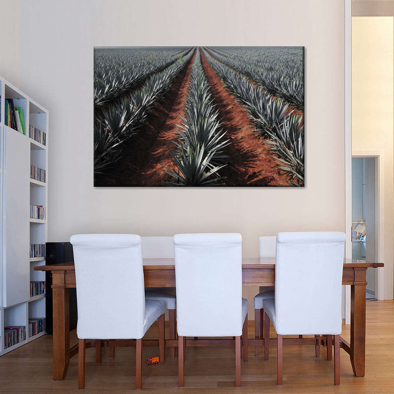 Agave Field Wall Art