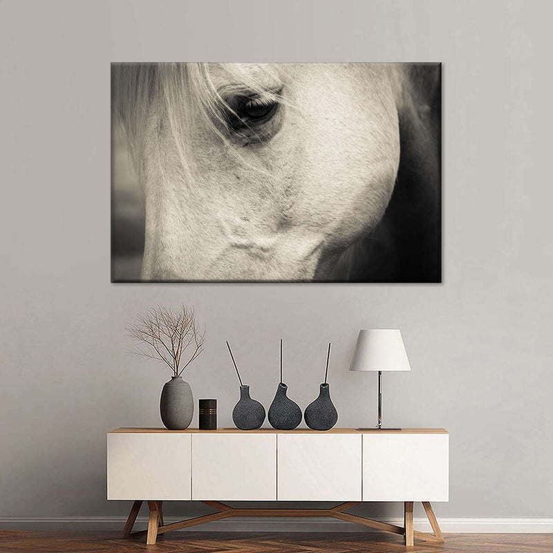 White Horse Eye Wall Art