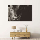 Black Angus Bull Wall Art
