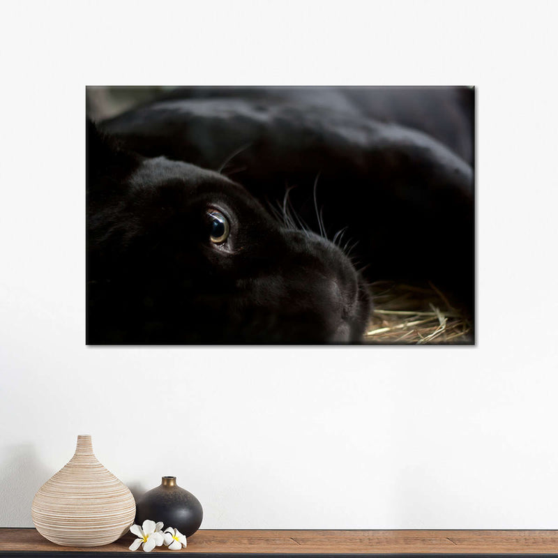 Comfortable Black Panther Wall Art