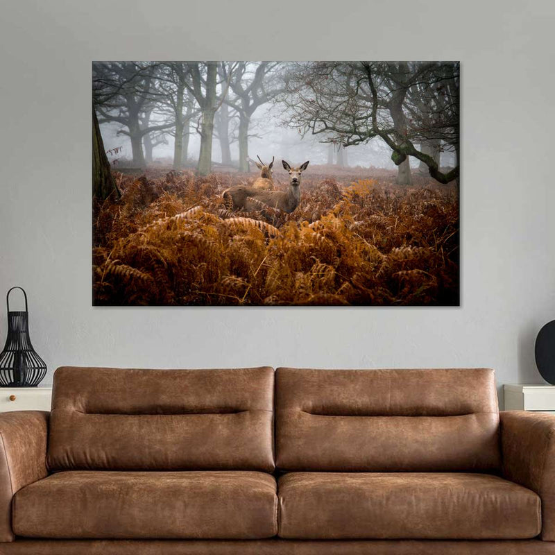 Richmond Park Deer Wall Art