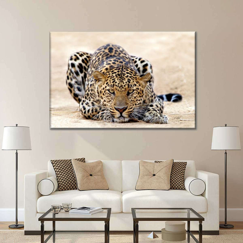 Watchful Jaguar Wall Art