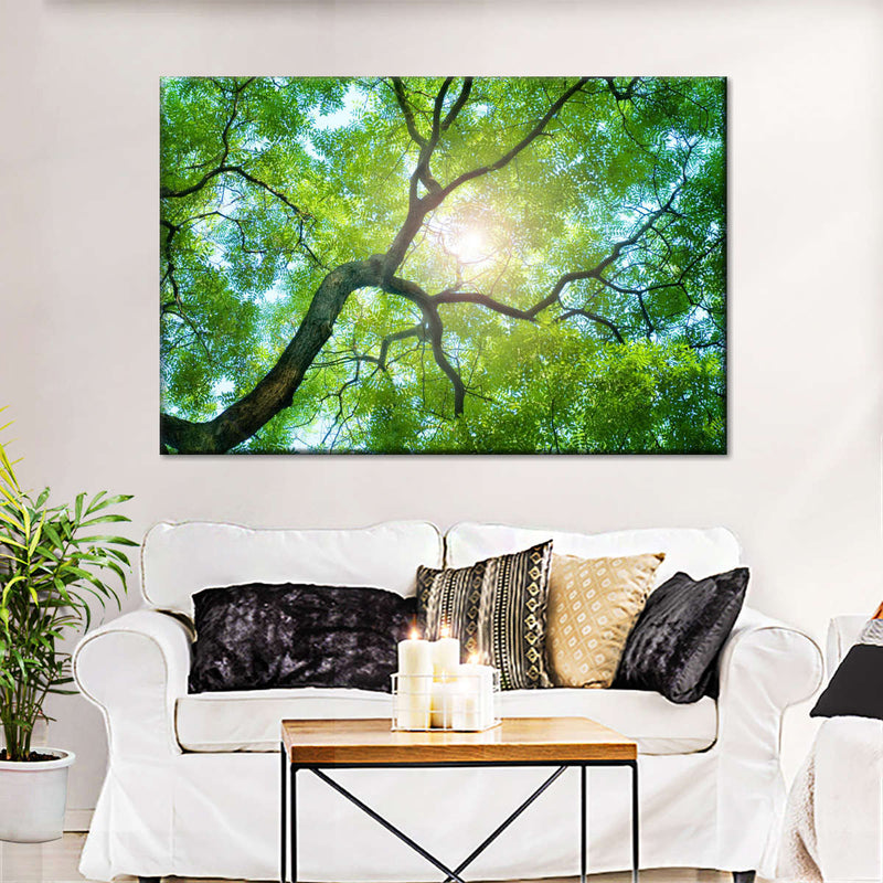 Tree Canopy Sunshine Wall Art