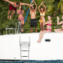 3-Step Telescoping Boat Ladder with Fiberglass Platform and Handrails by LJGDeals