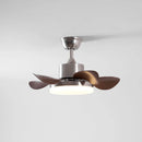 Terra Modern Silent Ceiling Fan Light