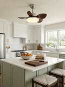 Terra Modern Silent Ceiling Fan Light