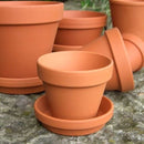 2.5'' Terracotta Pot