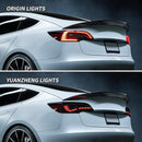 TESERY Dragon Scale Tail Lights for Model 3/Y