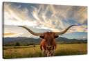 Mighty Longhorn Wall Art