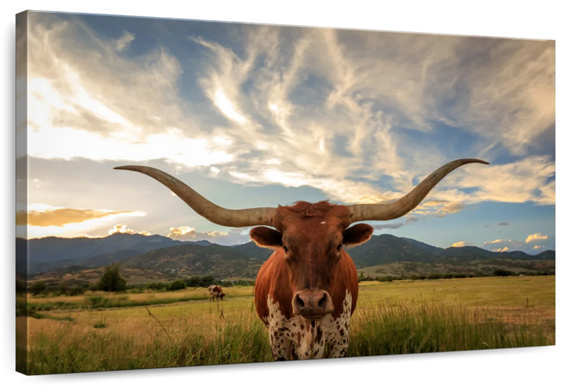 Mighty Longhorn Wall Art