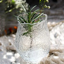 GobekUsa Green Transparent Glass Vase for Flower Arrangement & Home Decor