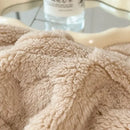 GobekUsa Cozy Lamb Wool Blanket: Double-Sided, Thick Coral Fleece, Skin-Friendly & Warm