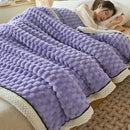 GobekUsa Cozy Taffeta Velvet Blanket - Soft Plush Fluffy Warm Comforter for Bedroom