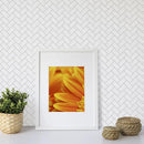 Thassos Honed Herringbone Marble Mosaics 12 1/8x13 3/8