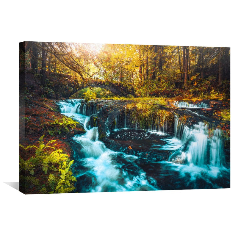 The Forest of Tranquility Canvas