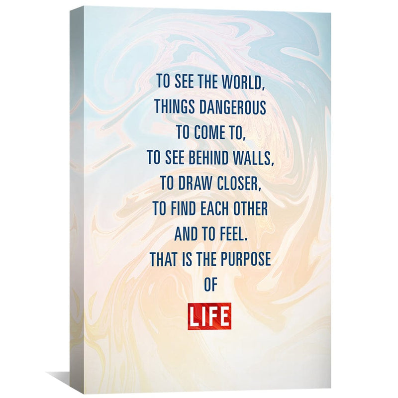 The Purpose of Life Canvas