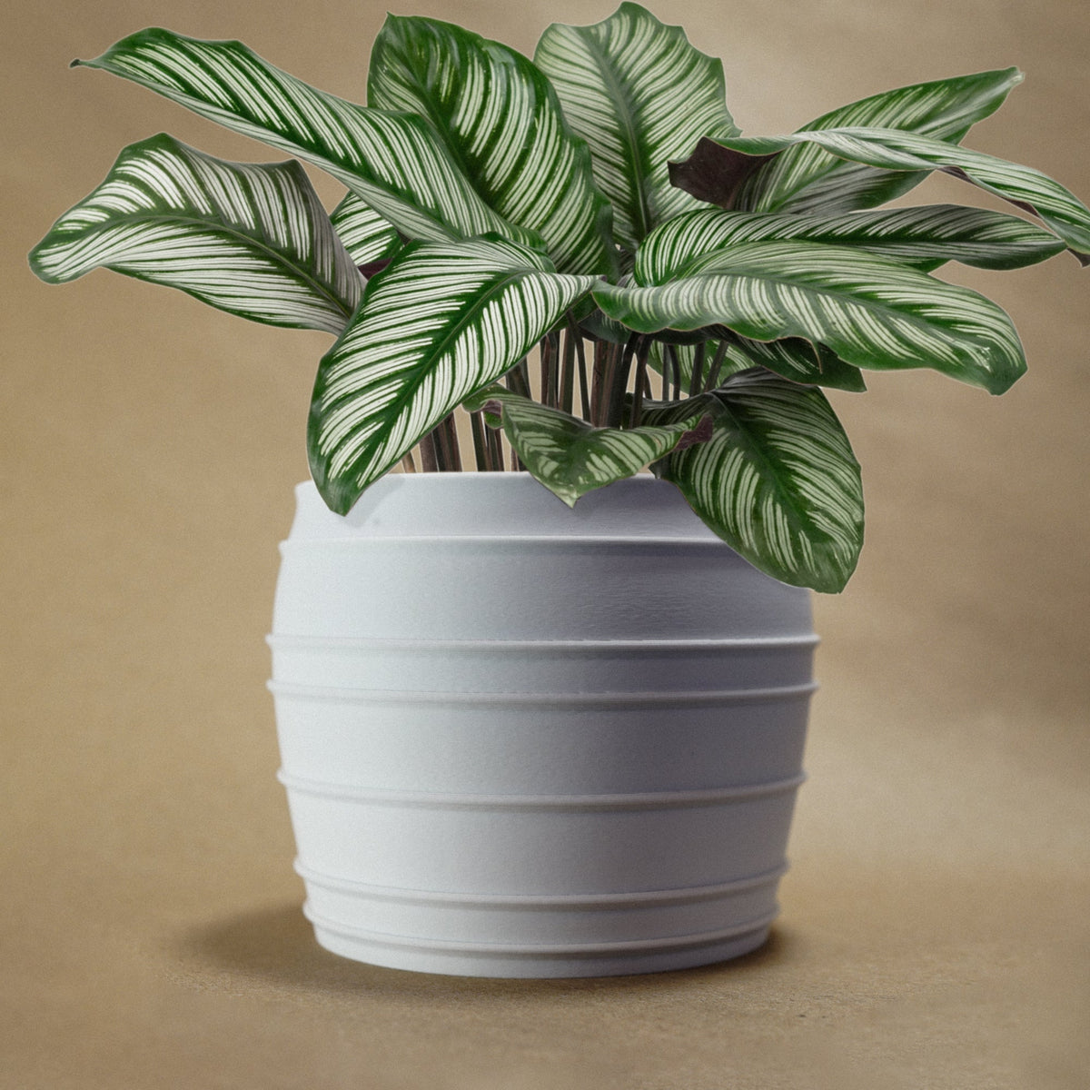 The Vintage Siena Planter, photo 2 of 17