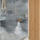 ThermaSol SignaTouch Flushmount 5-Inch Digital Shower Steam Control Package With Serenity 10 [TWPSR] (SAK84375)