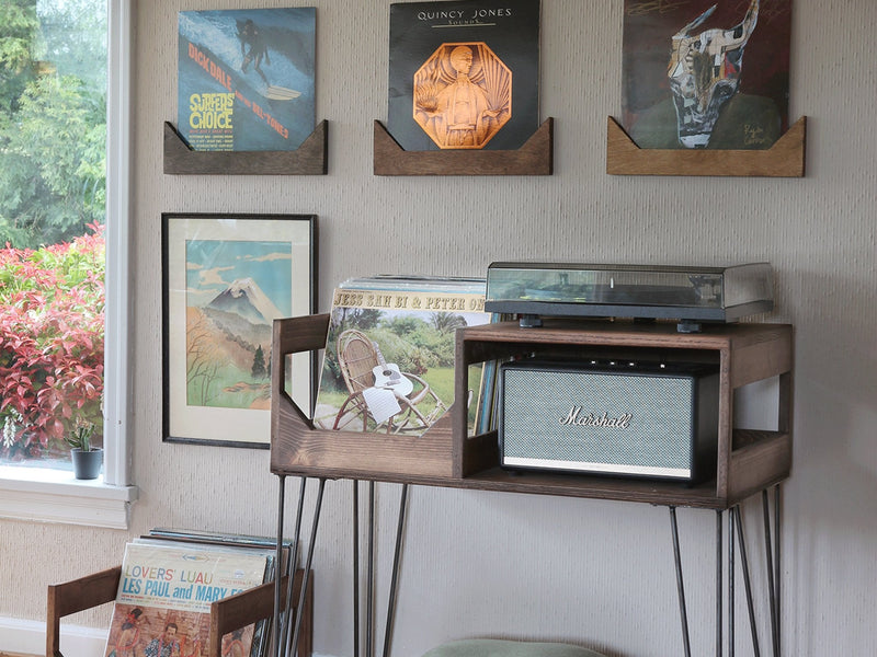 Vinyl Record Display Wall Hanger - Make your Collection a Work of Art