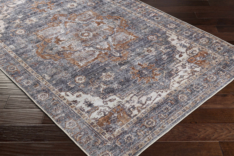 Lagangilang Washable Area Rug