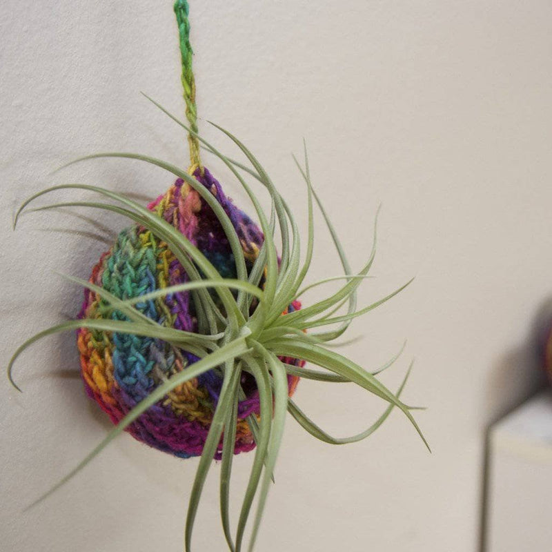 Tiered Air Plant Hanger Pattern