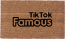 TikTok Famous