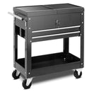 Rolling Mechanics Tool Cart Slide Top Utility Storage Cabinet Organizer 2 Drawers by LJGDeals