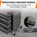5-Drawer Tool Storage Cabinet with Hanging Holes and Central Keyed Locking System-Black by LJGDeals