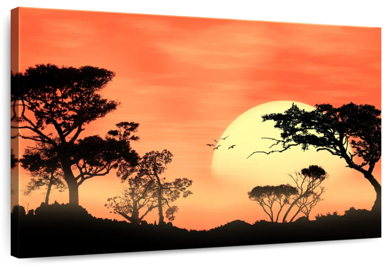 Sunrise In Africa Wall Art