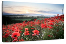 Field Of Red Poppies Wall Art