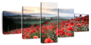 Field Of Red Poppies Wall Art