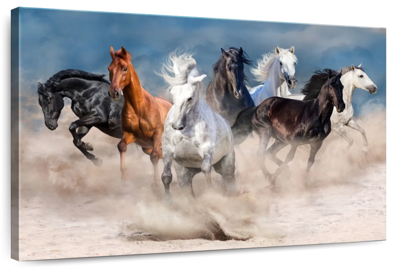 Running Horses Wall Art
