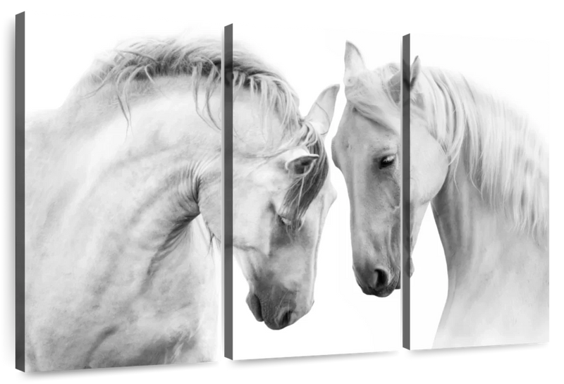 White Horse Couple Wall Art