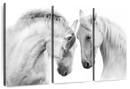 White Horse Couple Wall Art