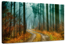 Autumn Forest Pathway Wall Art