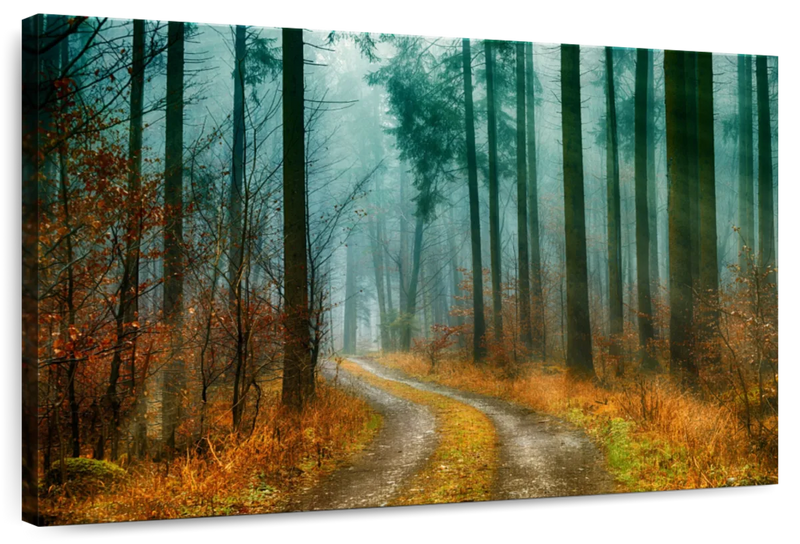 Autumn Forest Pathway Wall Art