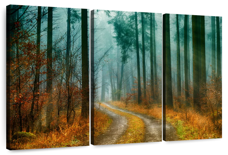 Autumn Forest Pathway Wall Art